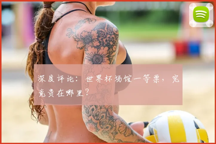深度评论：世界杯场馆一等票，究竟贵在哪里？