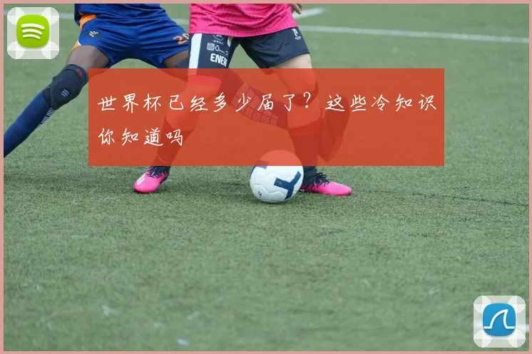 世界杯已经多少届了？这些冷知识你知道吗