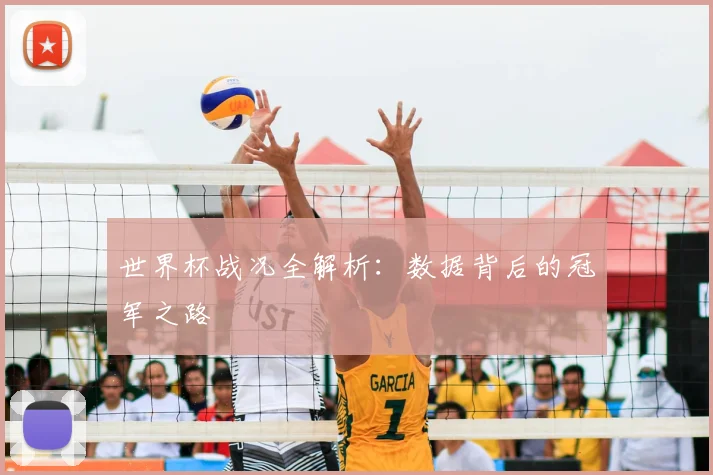 世界杯战况全解析：数据背后的冠军之路