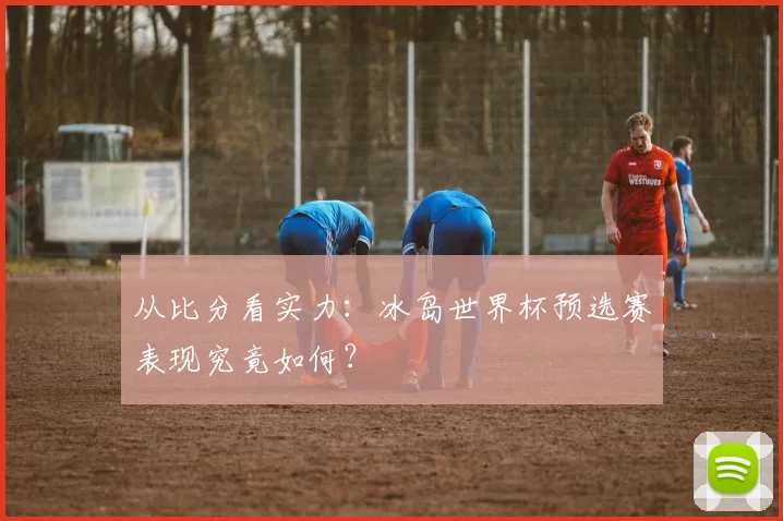 从比分看实力：冰岛世界杯预选赛表现究竟如何？