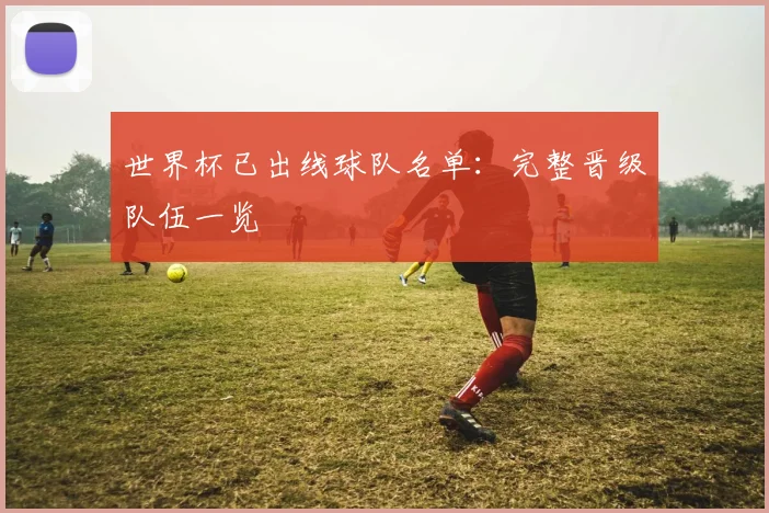 世界杯已出线球队名单:完整晋级队伍一览
