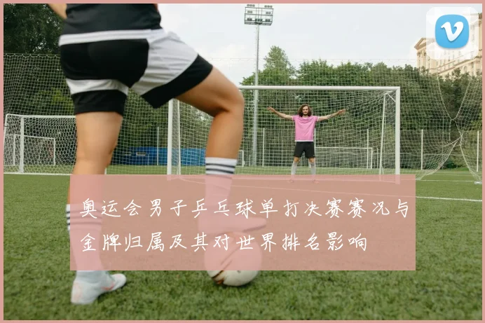 奥运会男子乒乓球单打决赛赛况与金牌归属及其对世界排名影响
