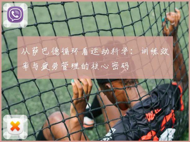 从萨巴德循环看运动科学：训练效率与疲劳管理的核心密码