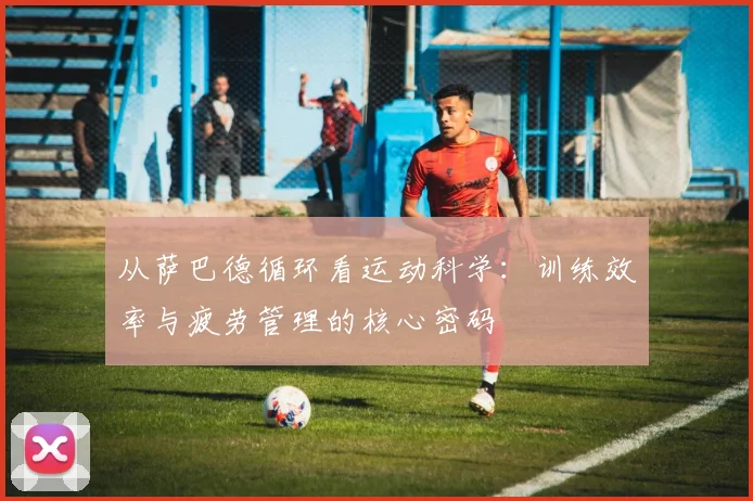从萨巴德循环看运动科学：训练效率与疲劳管理的核心密码